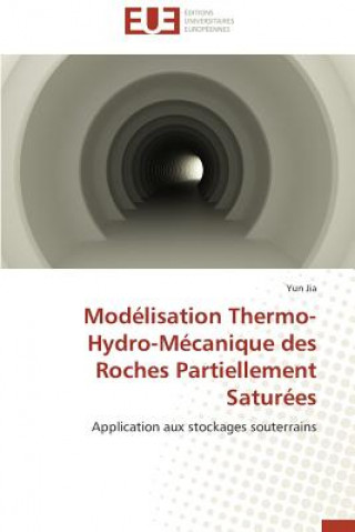 Książka Modelisation Thermo-Hydro-Mecanique Des Roches Partiellement Saturees Jia-Y