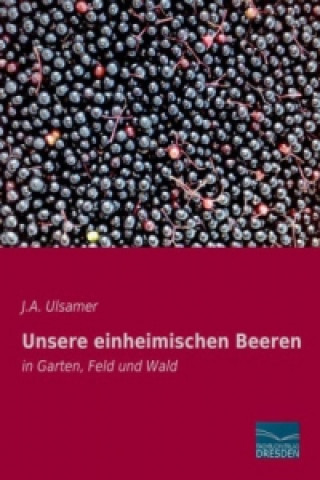 Buch Unsere einheimischen Beeren J. A. Ulsamer