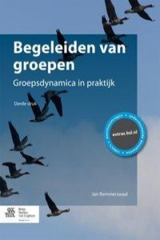 Kniha Begeleiden van groepen Jan Remmerswaal