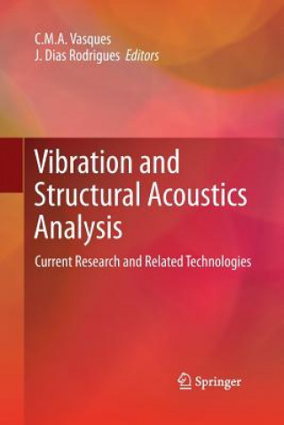 Carte Vibration and Structural Acoustics Analysis J. Dias Rodrigues