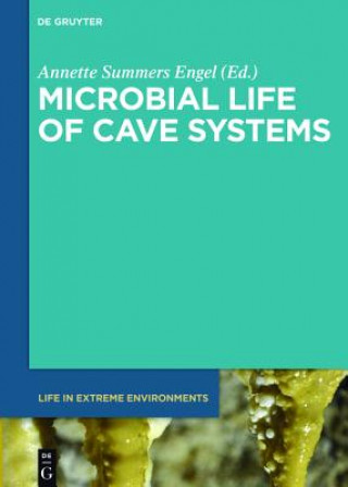 Книга Microbial Life of Cave Systems Annette Summers Engel