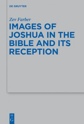 Kniha Images of Joshua in the Bible and Their Reception Zev Farber