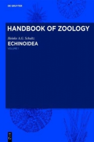 Buch Echinoidea Heinke A. G. Schultz
