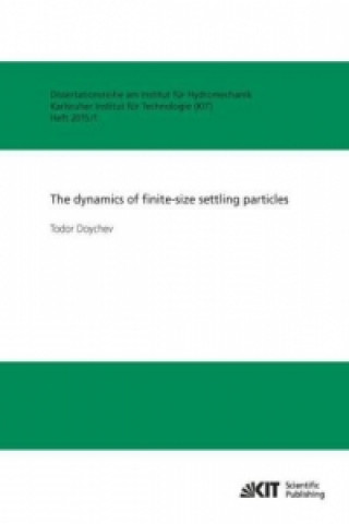 Kniha The dynamics of finite-size settling particles Todor Doychev