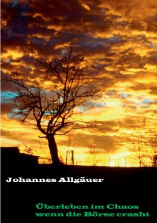 Kniha UEberleben im Chaos wenn die Boerse crasht Johannes Allgauer