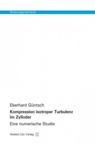 Könyv Kompression isotroper Turbulenz im Zylinder Eberhard Güntsch