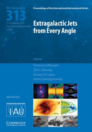 Książka Extragalactic Jets from Every Angle (IAU S313) Francesco Massaro