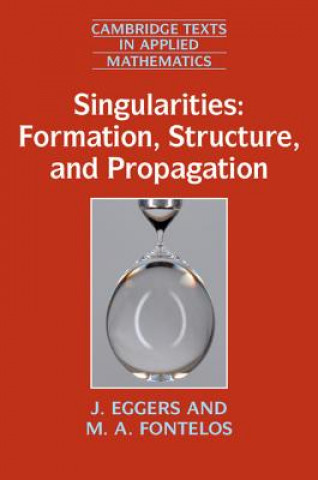 Knjiga Singularities: Formation, Structure, and Propagation J. Eggers