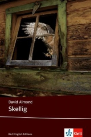 Kniha Skellig David Almond