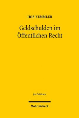 Knjiga Geldschulden im OEffentlichen Recht Iris Kemmler