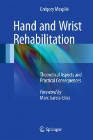 Könyv Hand and Wrist Rehabilitation Grégory Mesplié