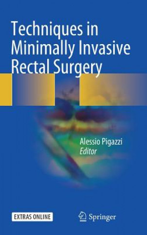 Könyv Techniques in Minimally Invasive Rectal Surgery Alessio Pigazzi