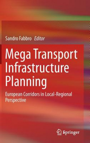 Kniha Mega Transport Infrastructure Planning Sandro Fabbro