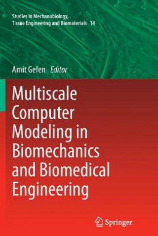 Könyv Multiscale Computer Modeling in Biomechanics and Biomedical Engineering Amit Gefen