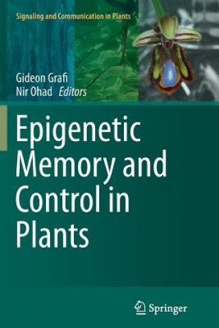 Könyv Epigenetic Memory and Control in Plants Gideon Grafi