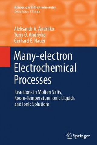 Könyv Many-electron Electrochemical Processes Aleksandr A. Andriiko