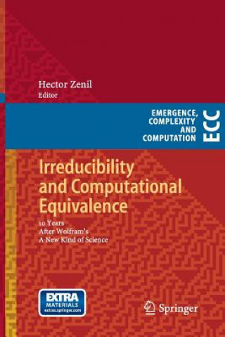 Kniha Irreducibility and Computational Equivalence Hector Zenil