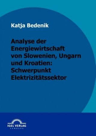 Książka Analyse der Energiewirtschaft von Slowenien, Ungarn und Kroatien Katja Bedenik