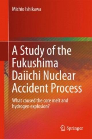 Kniha Study of the Fukushima Daiichi Nuclear Accident Process Michio Ishikawa