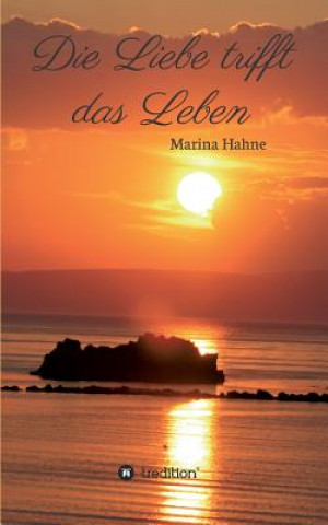 Kniha Die Liebe trifft das Leben Marina Hahne