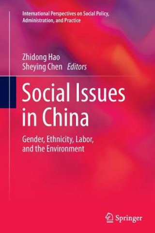 Könyv Social Issues in China Sheying Chen
