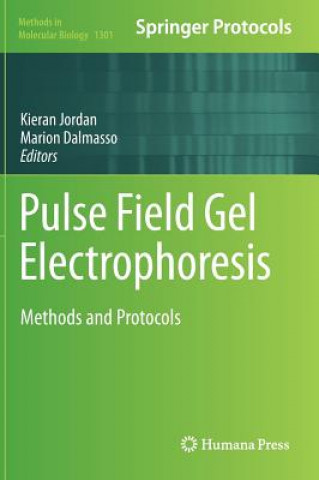 Könyv Pulse Field Gel Electrophoresis Kieran Jordan