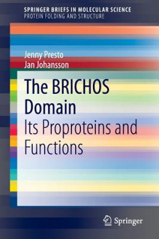 Kniha BRICHOS Domain Jenny Presto