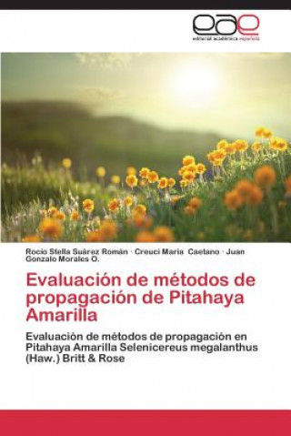 Könyv Evaluacion de metodos de propagacion de Pitahaya Amarilla Suarez Roman Rocio Stella