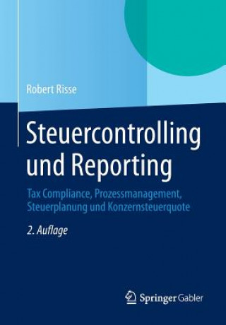 Kniha Steuercontrolling Und Reporting Robert Risse