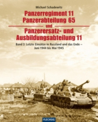 Kniha Letzte Einsätze in Russland und das Ende - Juni 1944 bis Mai 1945 Michael Schadewitz