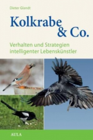 Carte Kolkrabe & Co. Dieter Glandt
