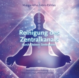 Audio  Reinigung des Zentralkanals durch Deinen Seelenstern, 1 Audio-CD 