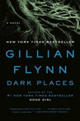 Kniha Dark Places (EXP) Gillian Flynn