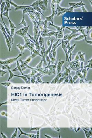 Kniha HIC1 in Tumorigenesis Kumar Sanjay