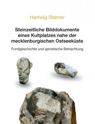 Knjiga Steinzeitliche Bilddokumente eines Kultplatzes nahe der mecklenburgischen Ostseekuste Hartwig Stamer