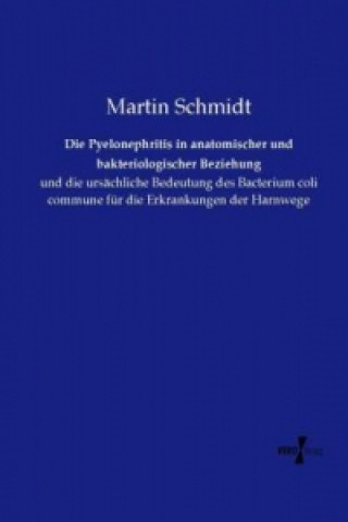 Kniha Die Pyelonephritis in anatomischer und bakteriologischer Beziehung Martin Schmidt
