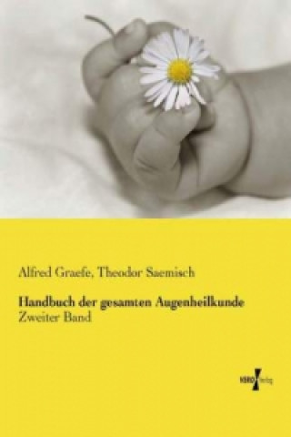 Kniha Handbuch der gesamten Augenheilkunde Alfred Graefe