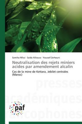 Carte Neutralisation Des Rejets Miniers Acides Par Amendement Alcalin 