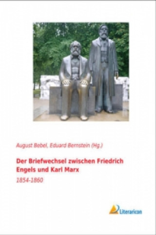 Kniha Der Briefwechsel zwischen Friedrich Engels und Karl Marx August Bebel (Hg. )