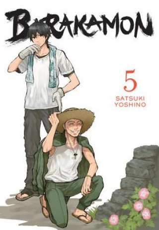 Könyv Barakamon, Vol. 5 Satsuki Yoshino