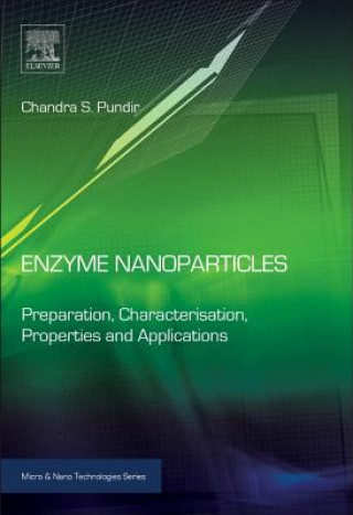 Könyv Enzyme Nanoparticles Chandra Pundir