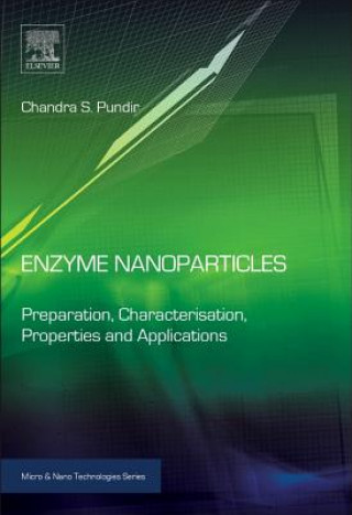 Kniha Enzyme Nanoparticles Chandra Pundir