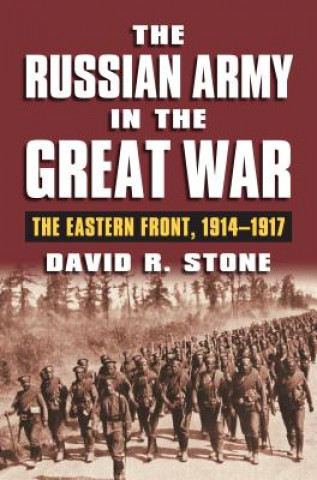 Könyv Russian Army in the Great War David R. Stone