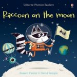 Carte Raccoon on the Moon Russell Punter