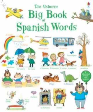 Könyv Big Book of Spanish Words Mairi Mackinnon