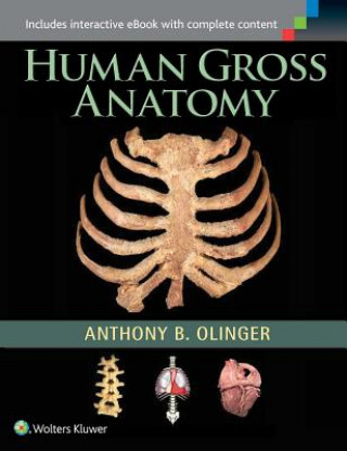 Könyv Human Gross Anatomy Anthony Olinger