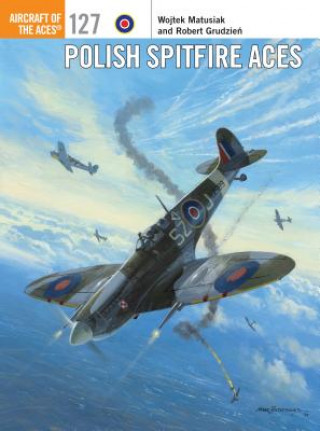 Kniha Polish Spitfire Aces Wojtek Matusiak