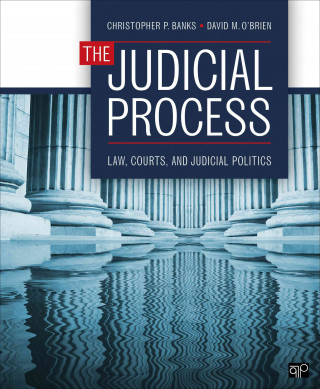 Kniha Judicial Process Christopher P Banks