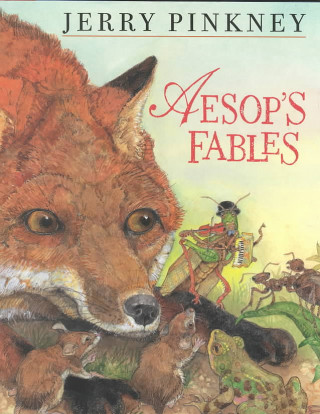 Książka Aesops Fables Jerry Pinkney