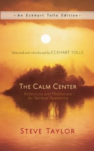 Kniha Calm Center Steve Taylor
